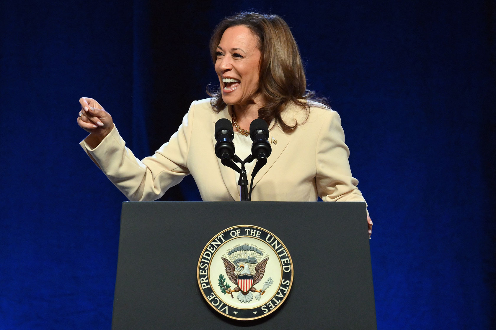 Photo shows Kamala Harris smiling and gesticulating as she speaks behind a podium with the Vice President of the United States seal